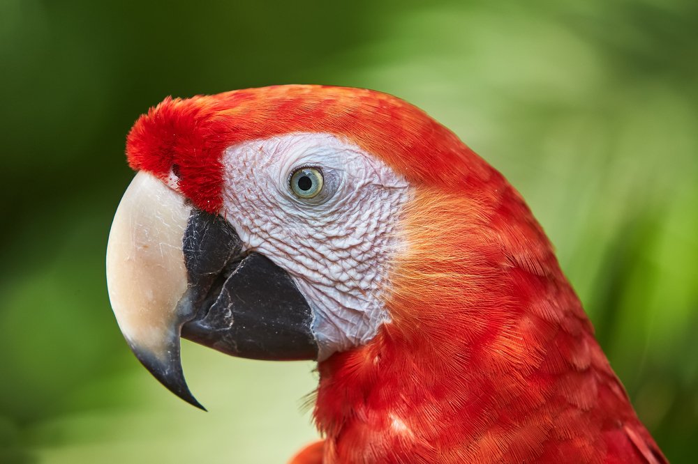 Photograph by Анастасия