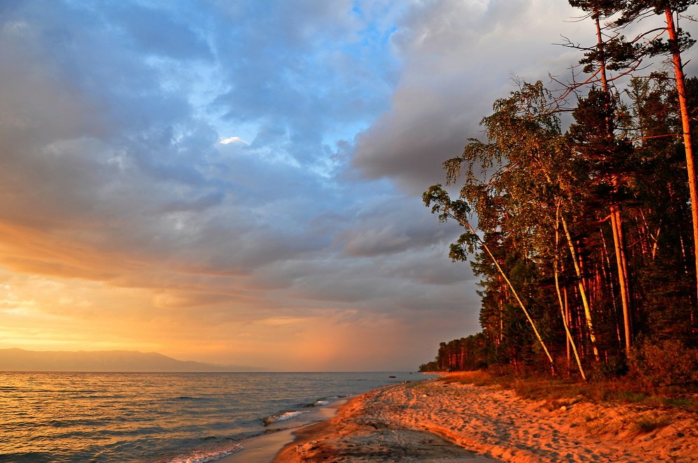 У Лукоморья...