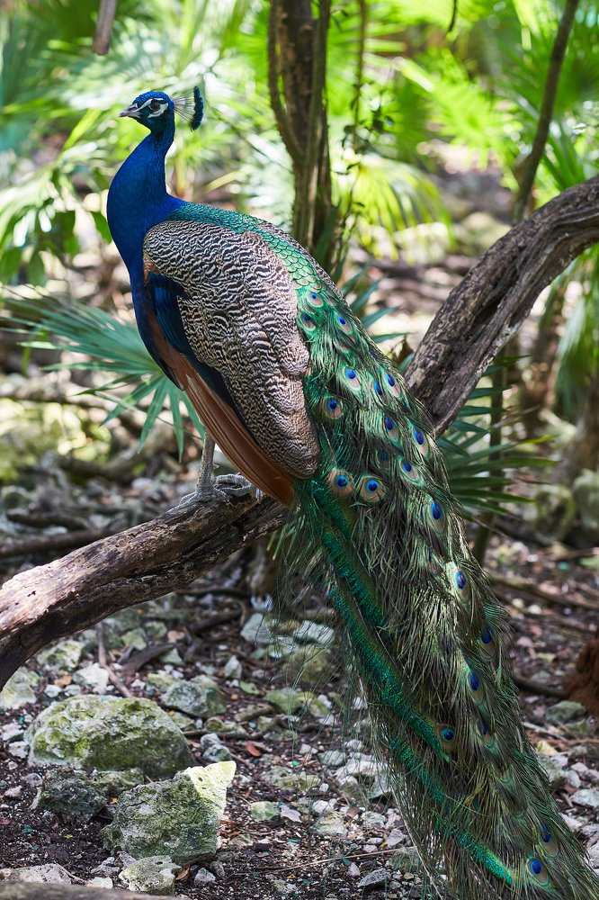 Photograph by Анастасия