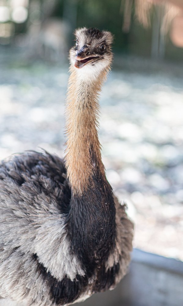 Photograph by Анастасия