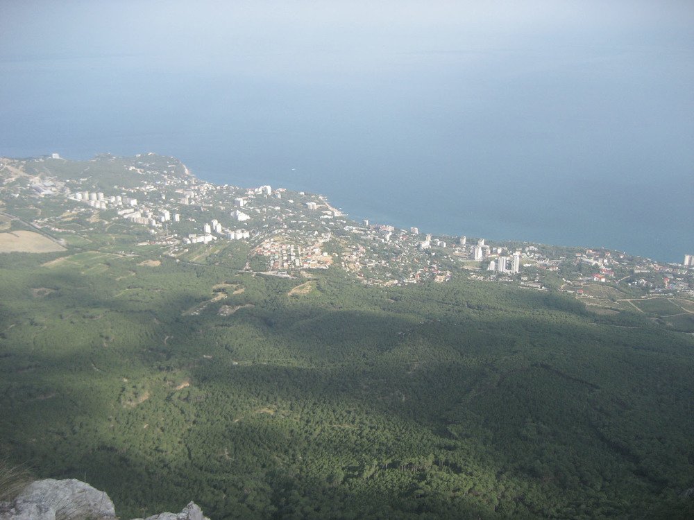 Photo #4974659