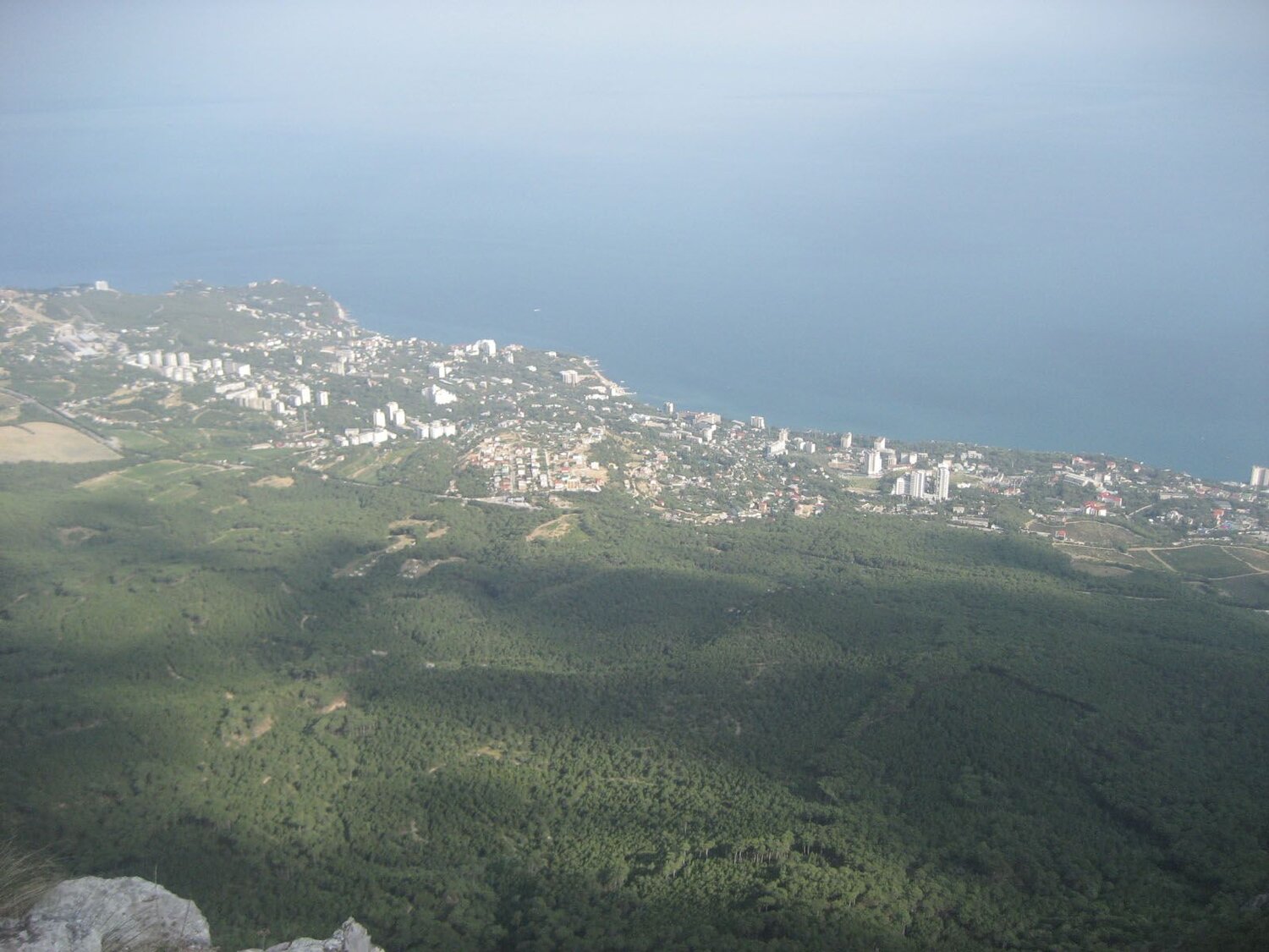 Photo #4974659