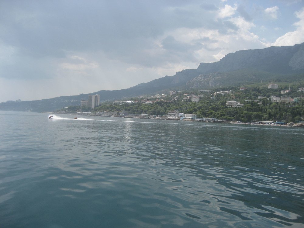 Photo #4974673