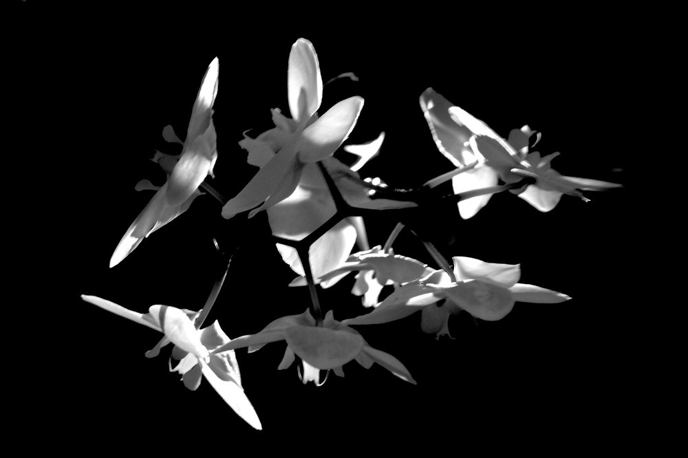 Photograph by Михаил Четвертков