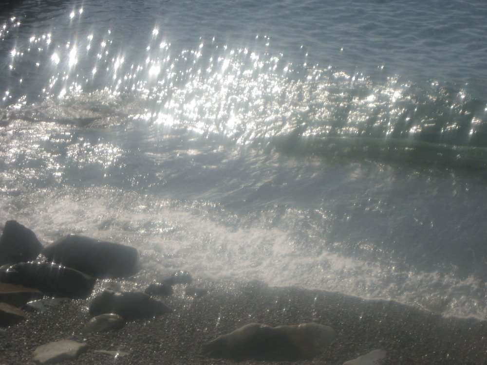 Photo #4974698