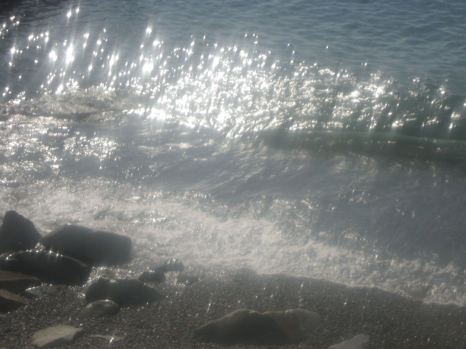 Photo #4974698