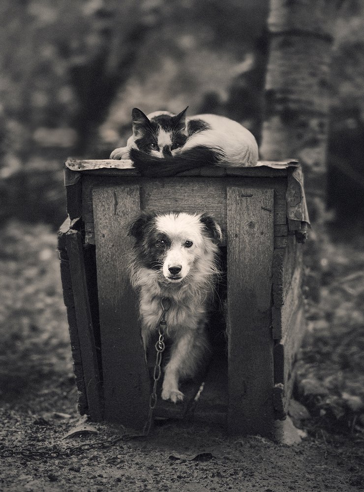 Photograph by MVO (Марк Орлов)