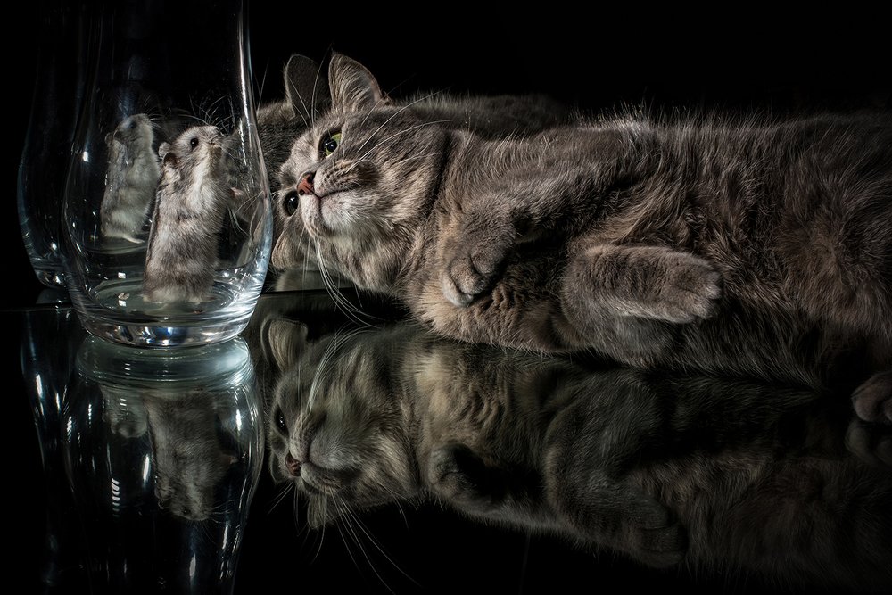 Photograph by MVO (Марк Орлов)