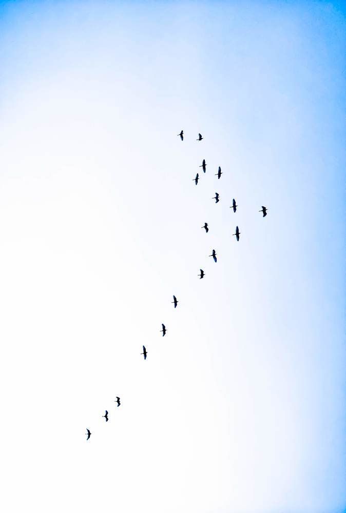 Photograph by kishan lalwani