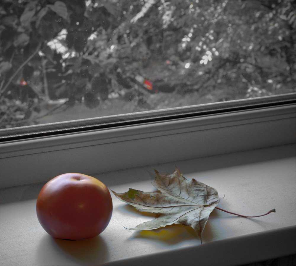 Дальтонизм