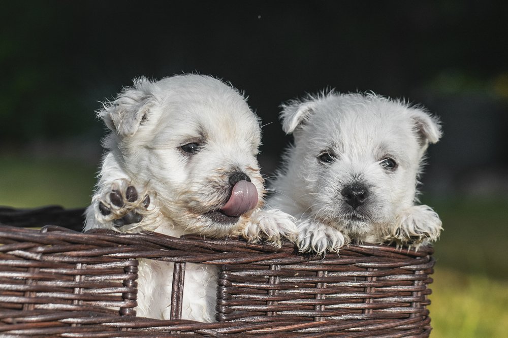 Photograph by Ernestas Balcikonis