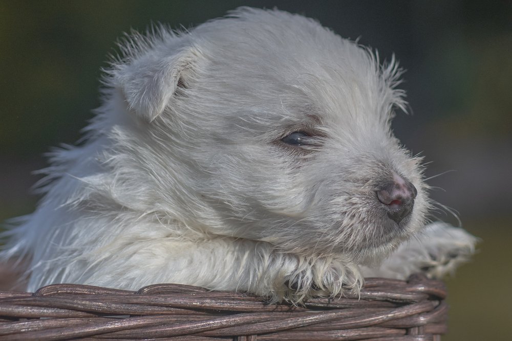 Photograph by Ernestas Balcikonis