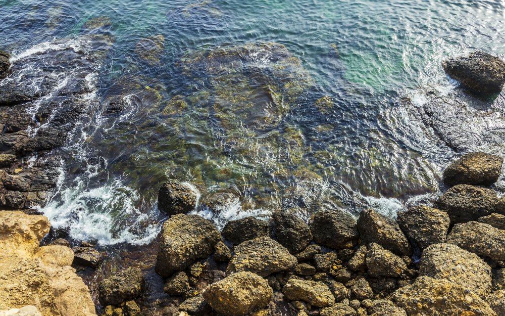 Photograph by Michael Dsouza