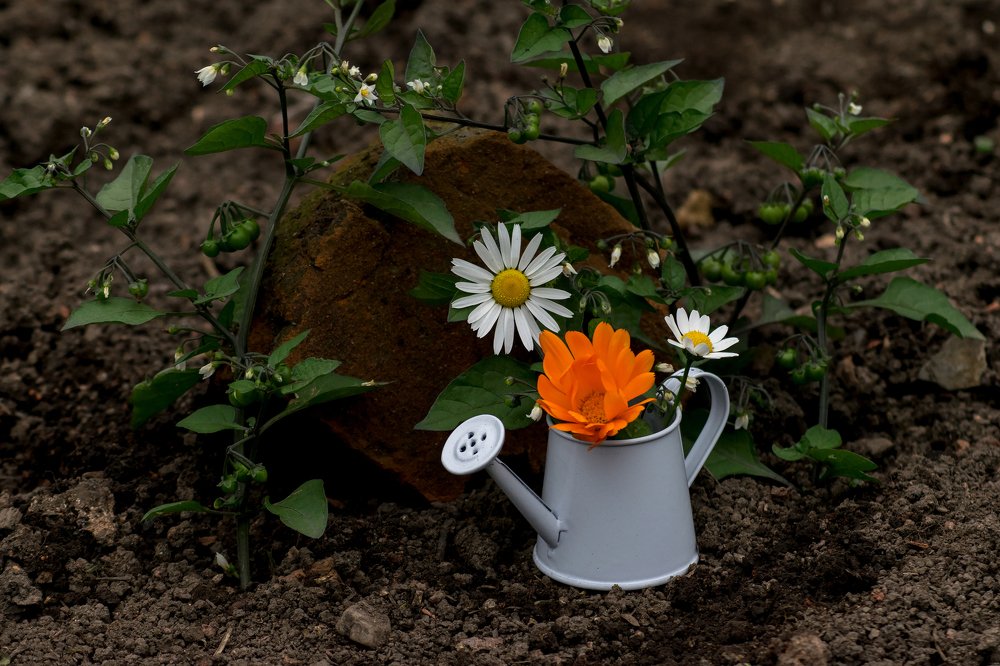 Photograph by Александра Лукашевич