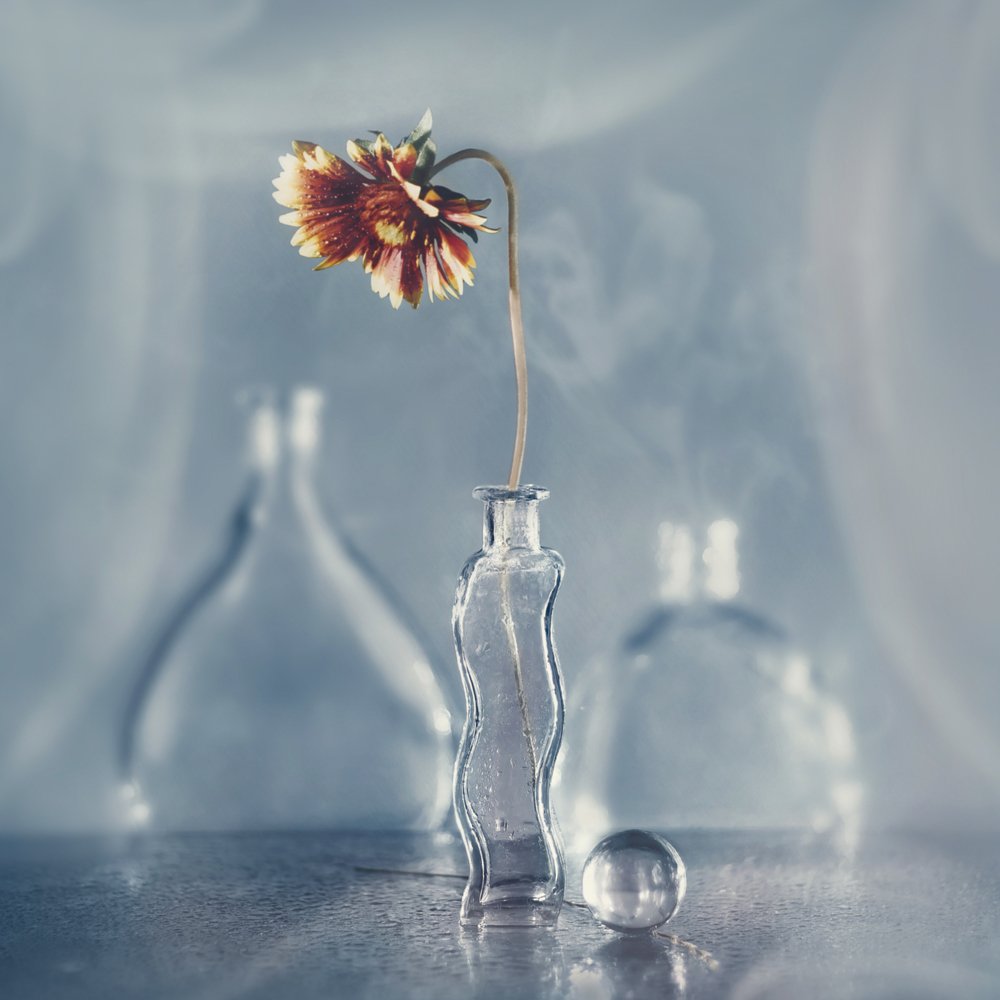 Photograph by MVO (Марк Орлов)