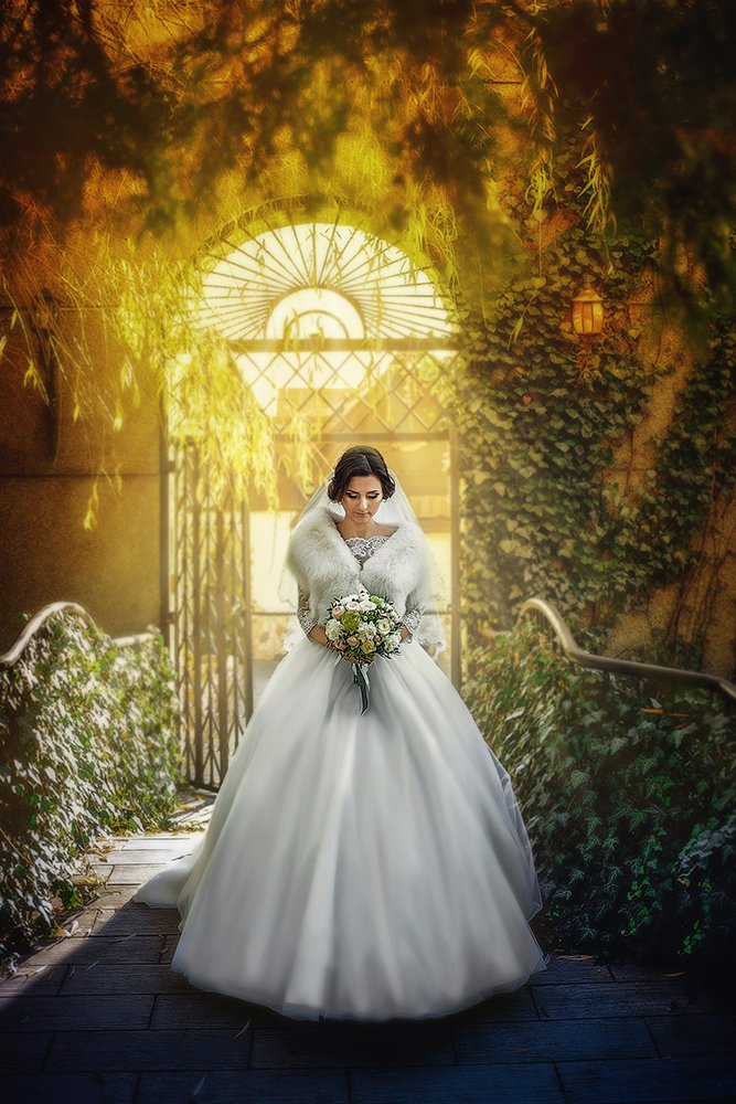 Photograph by MVO (Марк Орлов)