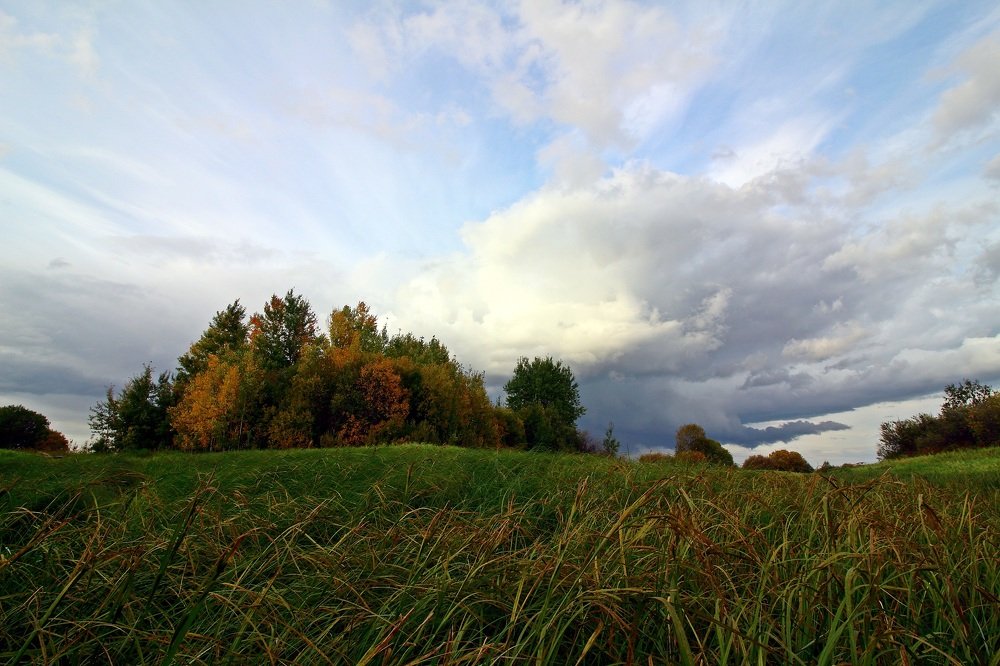 Движение в природе