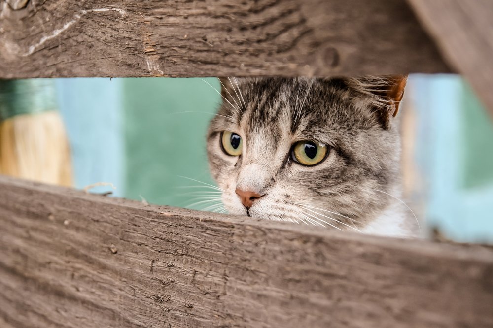 Photograph by Валерия Константинова