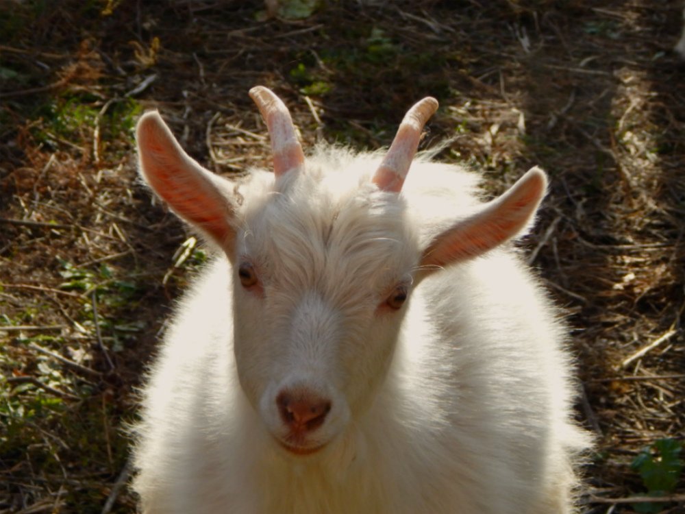 Photograph by Ирина Самойленко