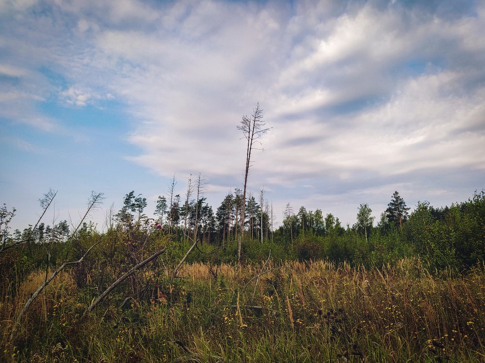 Photograph by Алексей