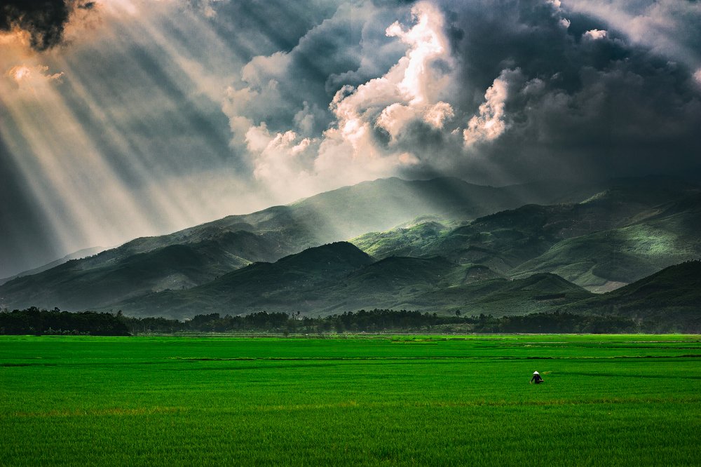 Photograph by Dinh Van Thinh