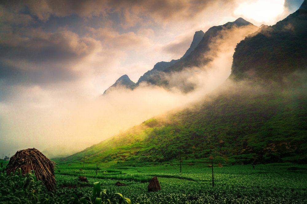 Photograph by Dinh Van Thinh