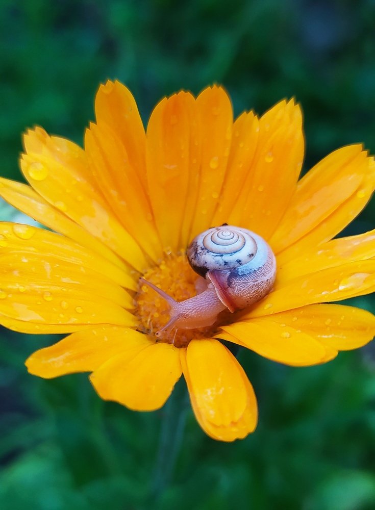 Photograph by Наталья Федорченко