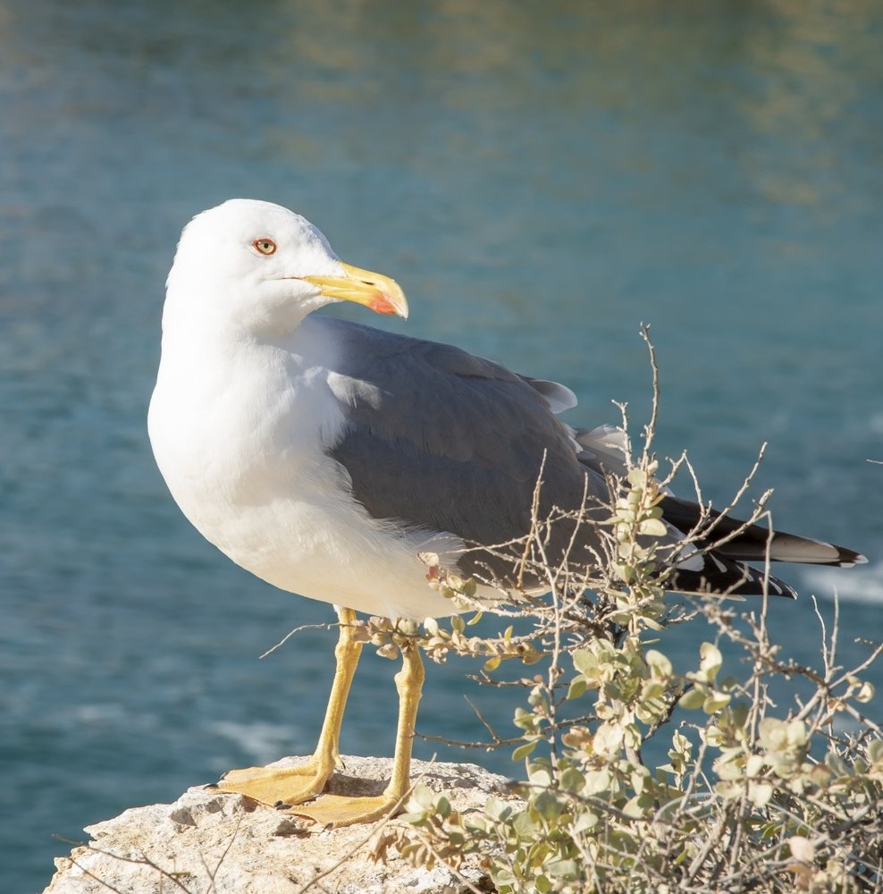 Photograph by Евгений Гусев