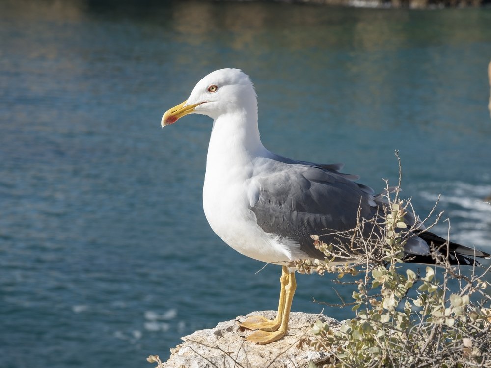 Photograph by Евгений Гусев