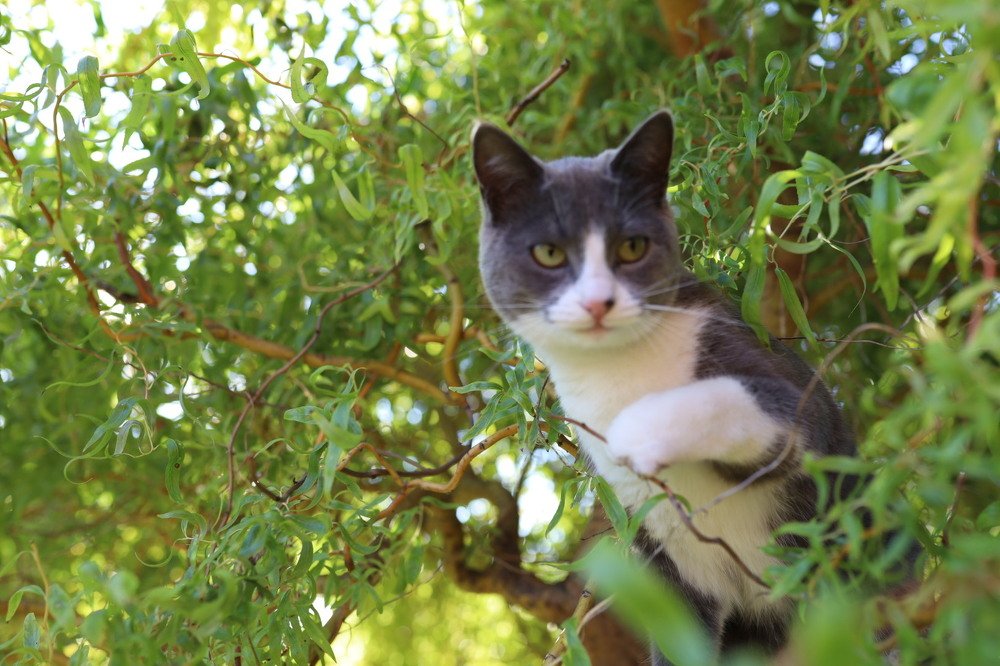 Photograph by Ольга Кретинина