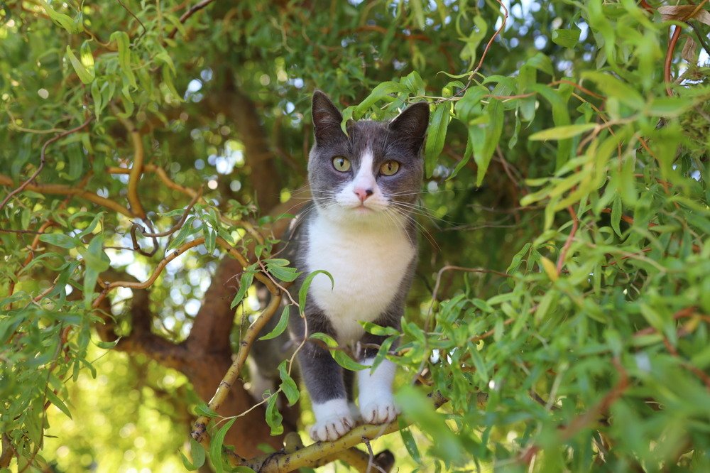 Photograph by Ольга Кретинина