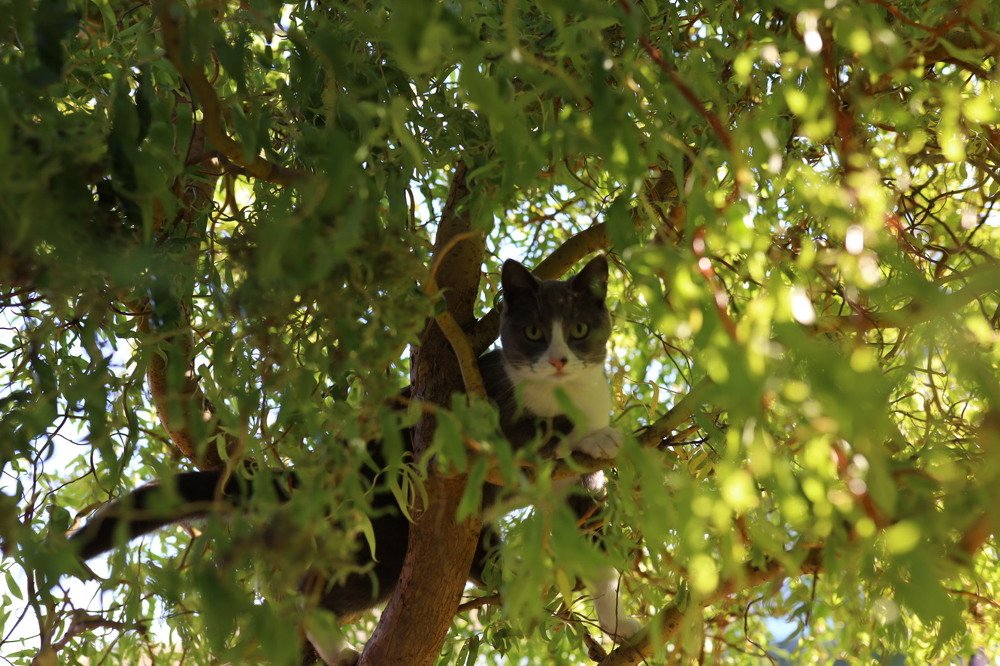 Photograph by Ольга Кретинина