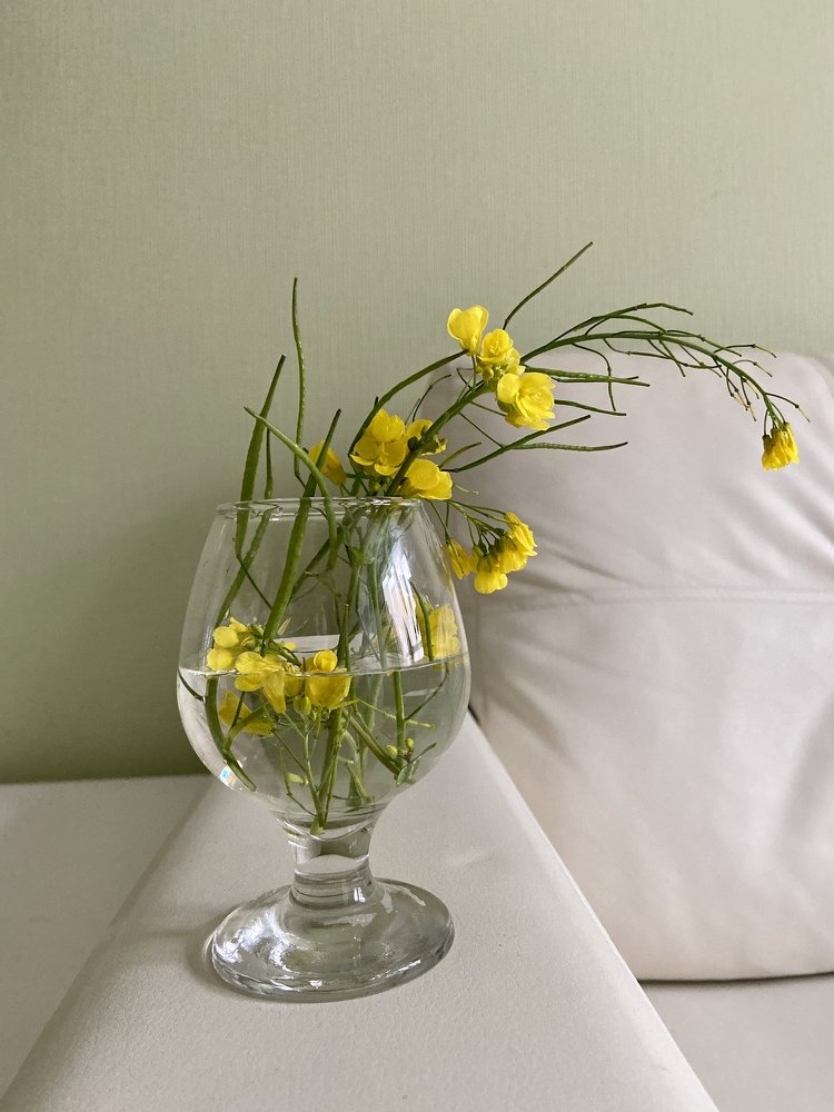 Photograph by Лазарева Анна Игоревна