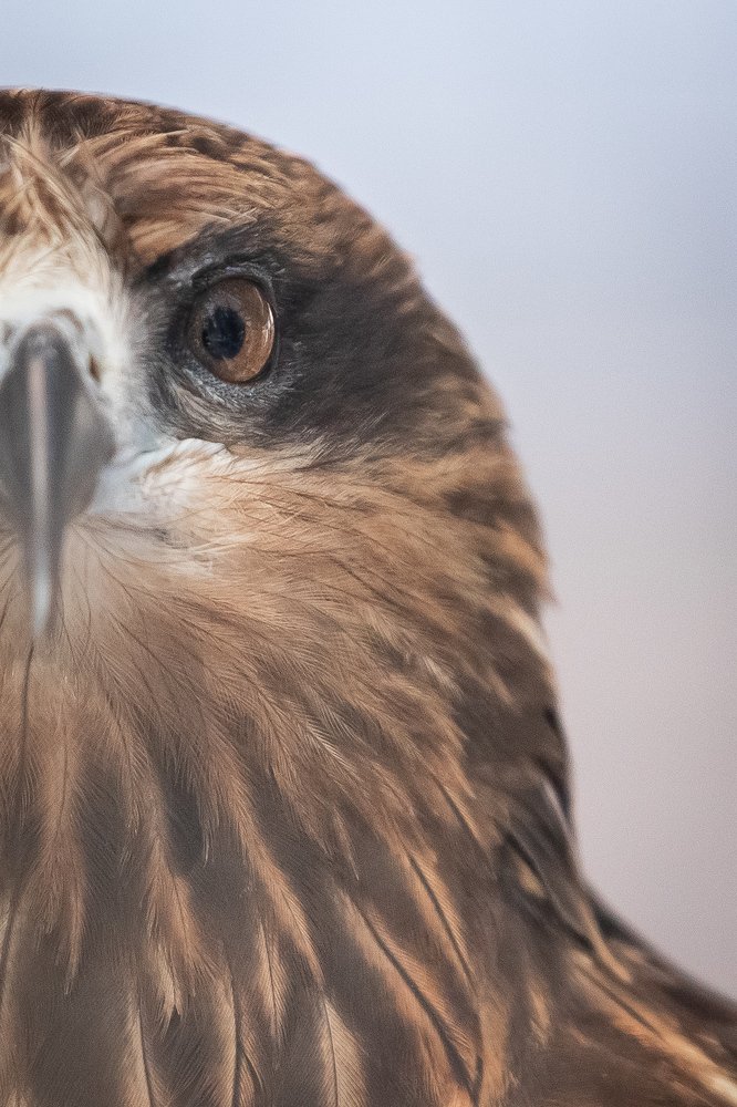 Фотография автора Дмитрий Эбингер