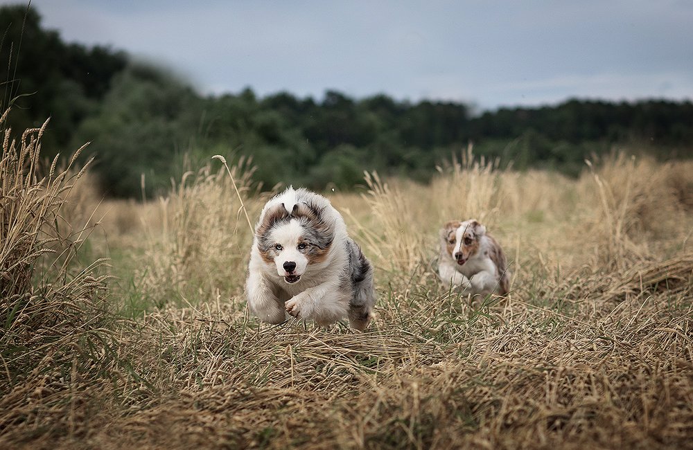 Фотография автора Анна Евгеньева