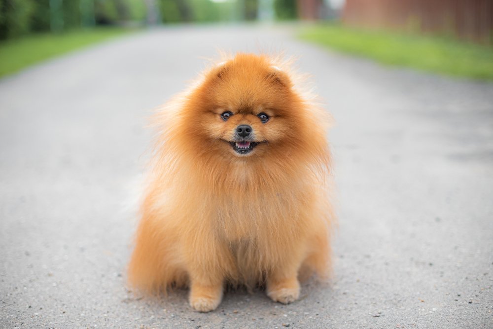 Photograph by Ekaterina Fadeeva