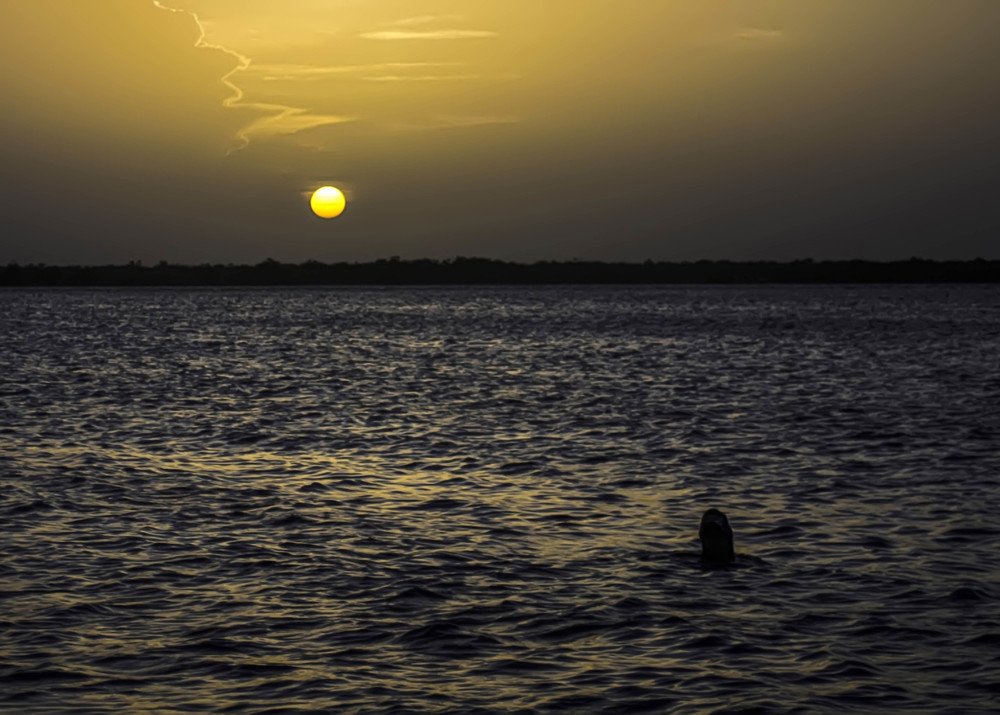 Photograph by Leonardo Ronquillo Hung