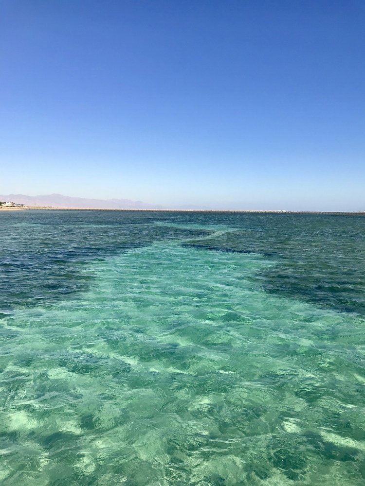 Photograph by Анар Амирова