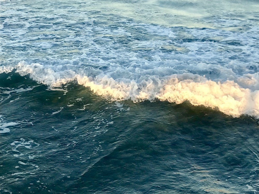 Photograph by Анар Амирова