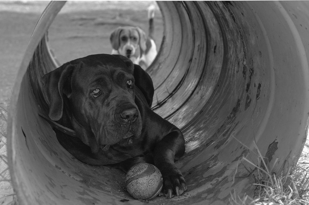 Photograph by Joaquin Silva