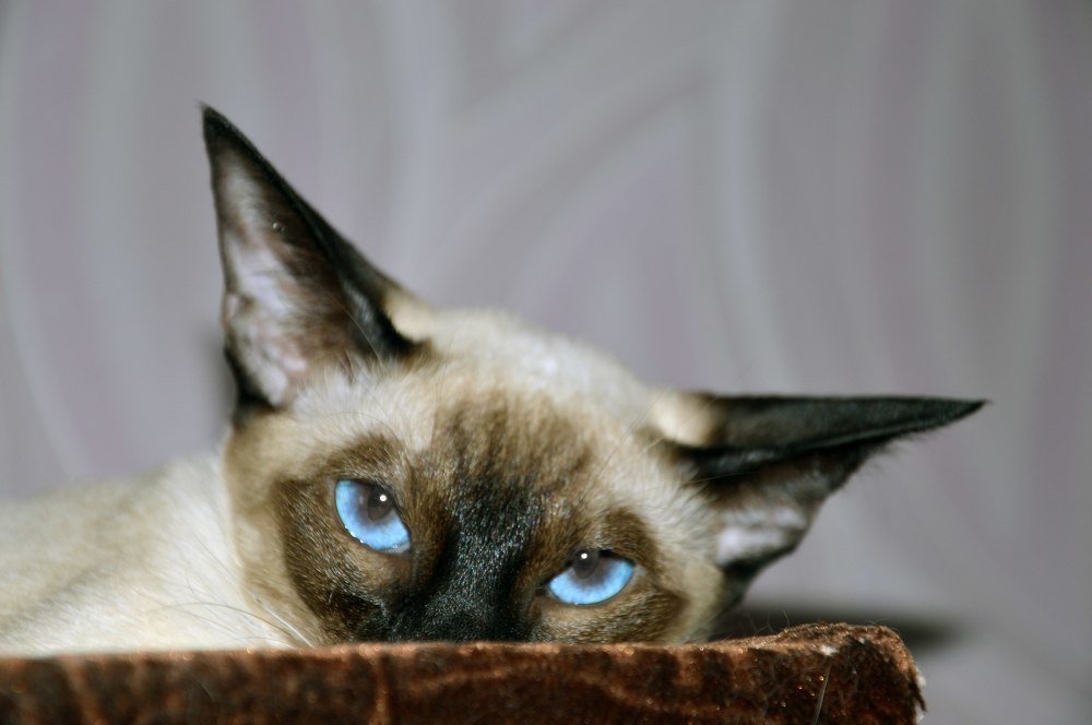 Photograph by Татьяна Мазепова