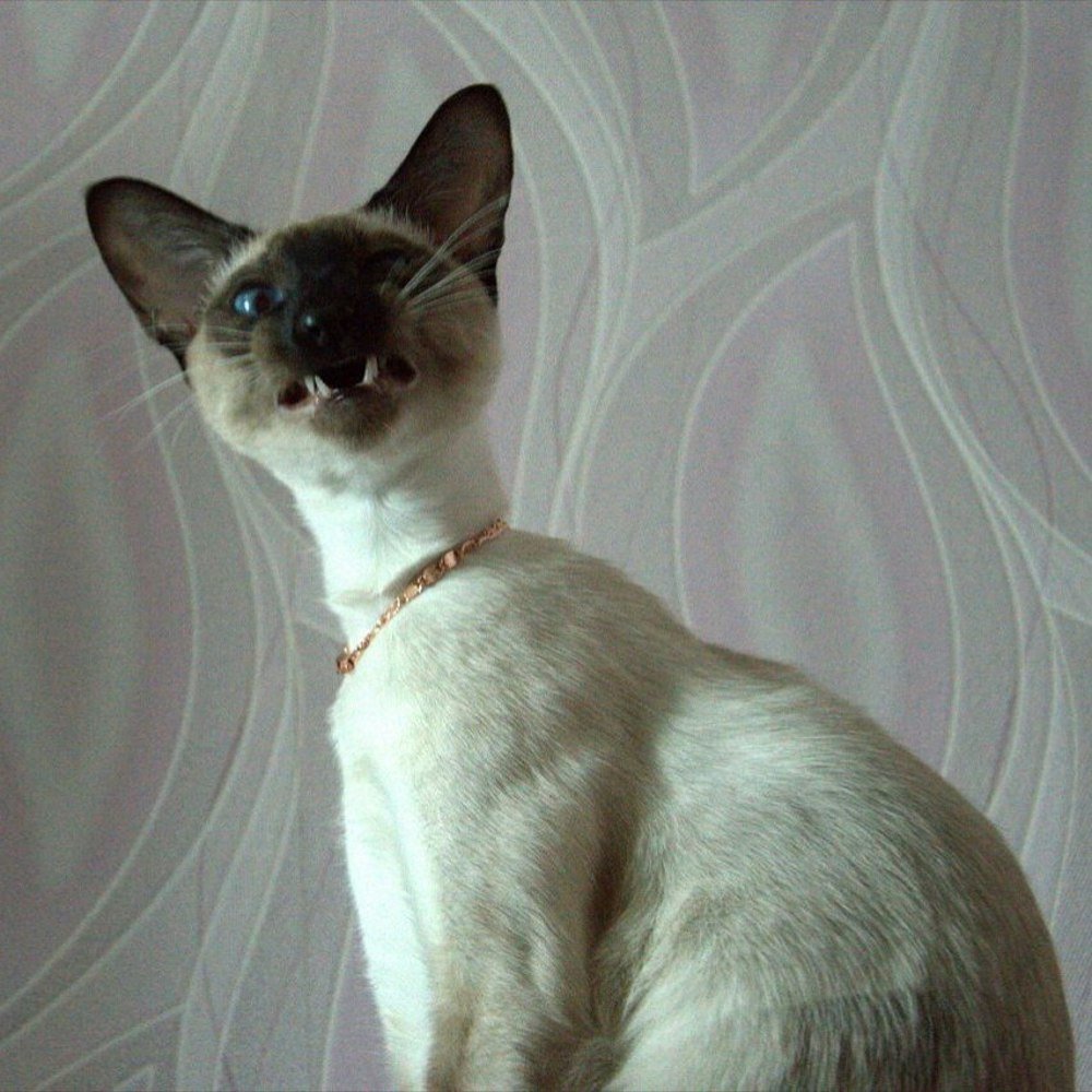 Photograph by Татьяна Мазепова