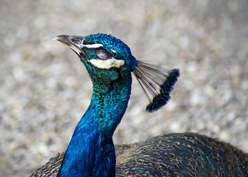 Photograph by Ashling Hayes