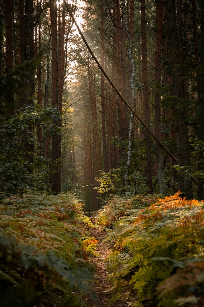 Photograph by Наталья Брюхненко