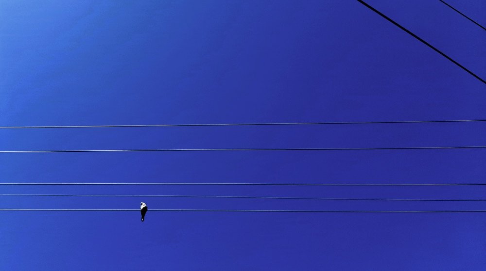 Фотография автора Kreculj Dejan