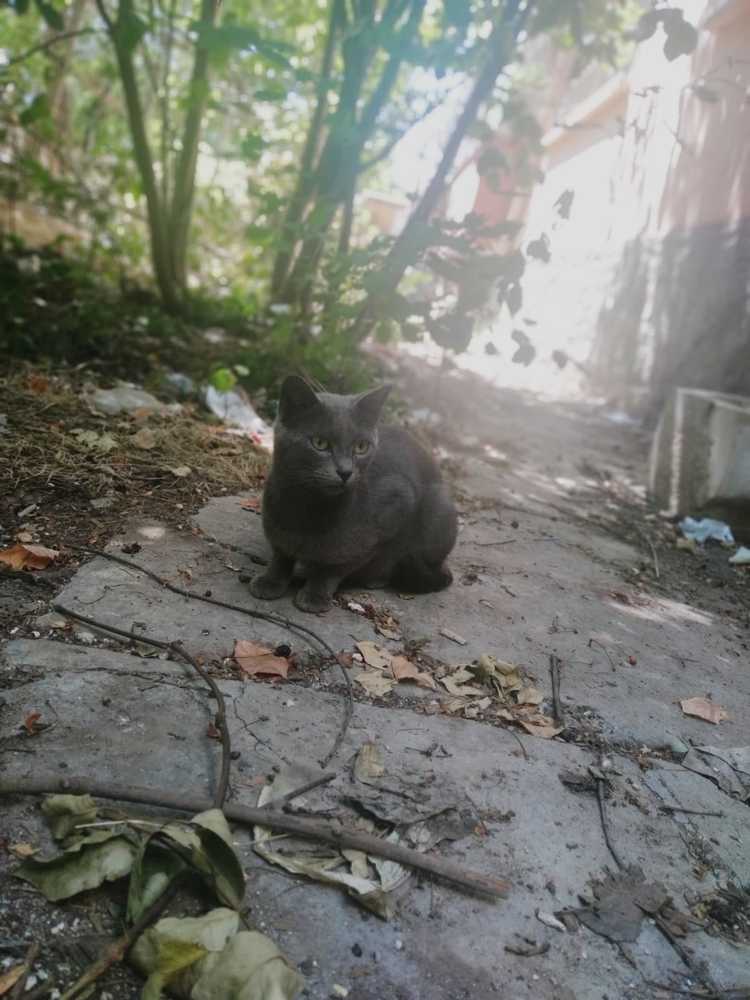 Фотография автора Ebru Erzurumlu