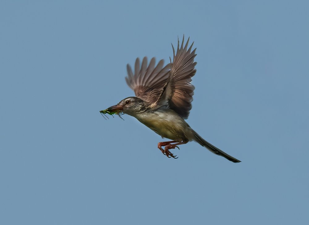 Photograph by Reza Putra