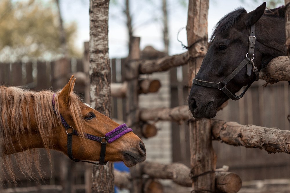 Photograph by Ирина Малина