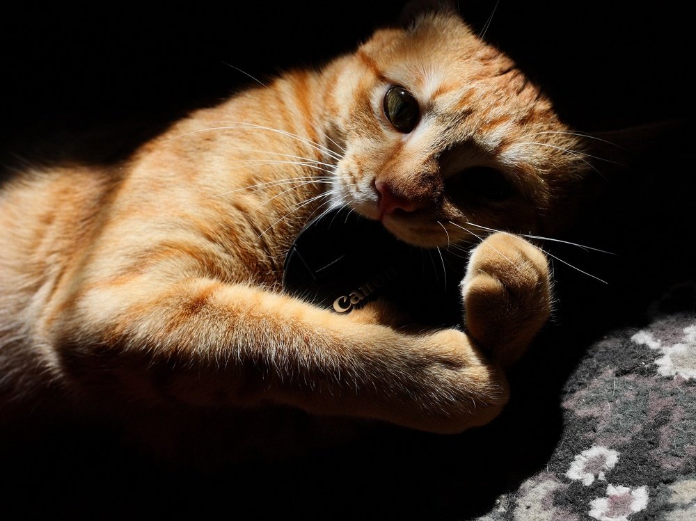 Photograph by Nargiza Karimova