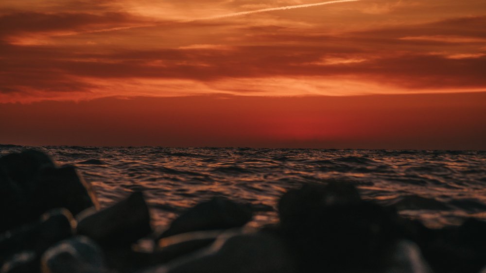 Photograph by Сергей Гусев